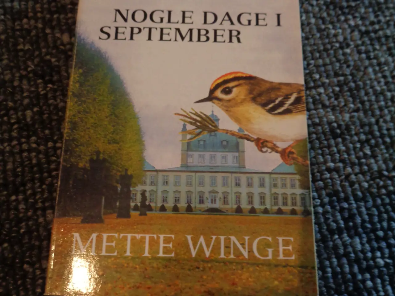 Billede 1 - Nogle Dage I September