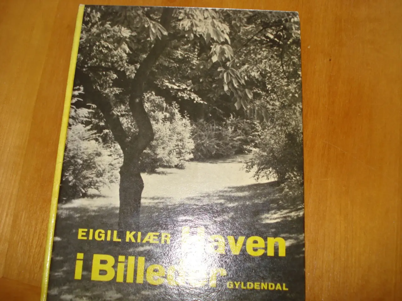 Billede 1 - Haven i Billeder