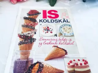 Is og koldskål