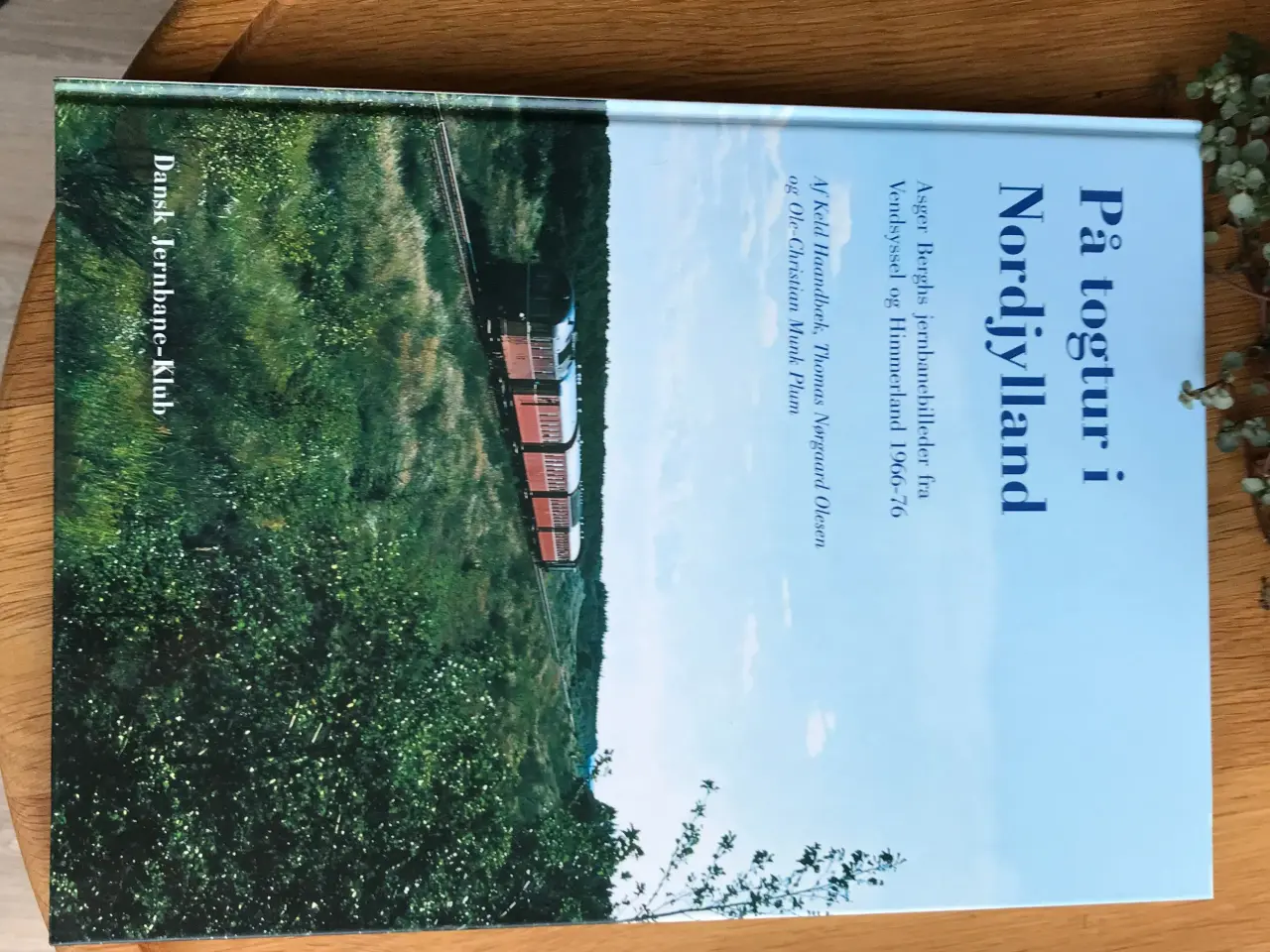 Billede 1 - På togtur i Nordjylland