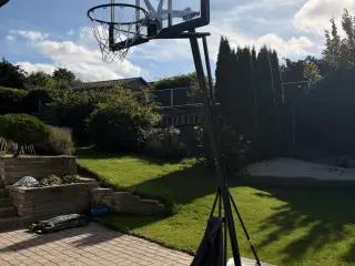 Basketball stativ med dunk kurv
