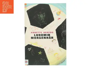 Ludomir Morgenhår af Annette Herzog (Bog)