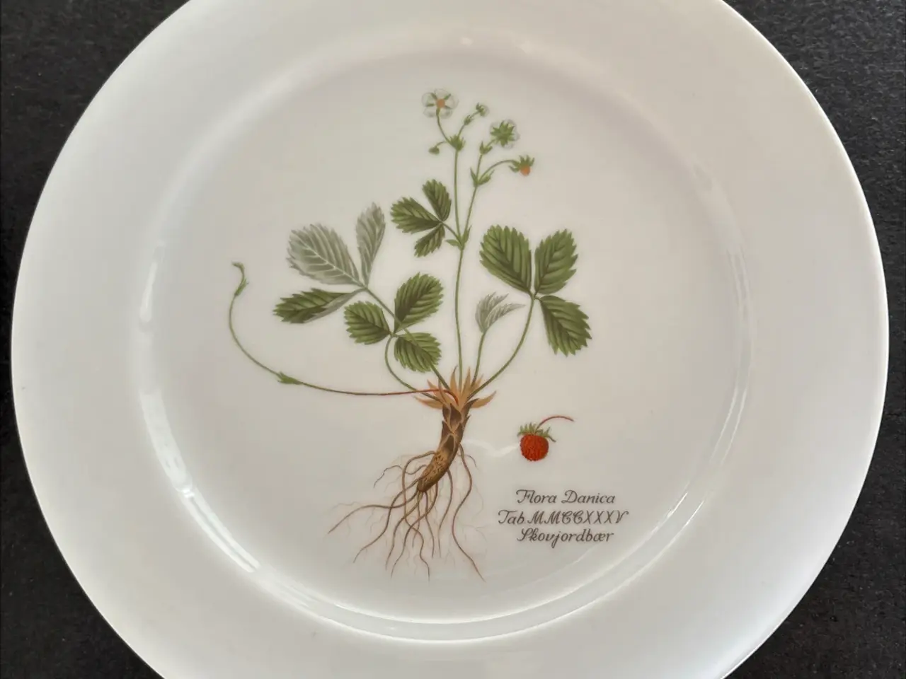 Billede 6 - Flora Danica/Faxe platter sælges
