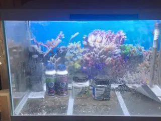 superfih 100 L