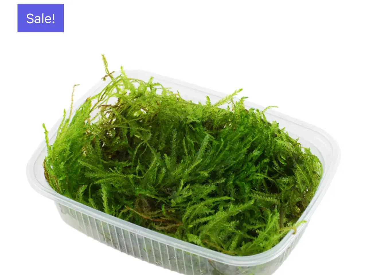 Billede 16 - Flotte 1.2 grow akvarie planter
