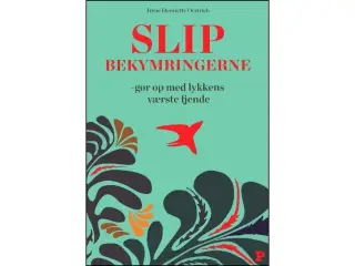 Slip Bekymringne: Gør op med lykkens værste fjende
