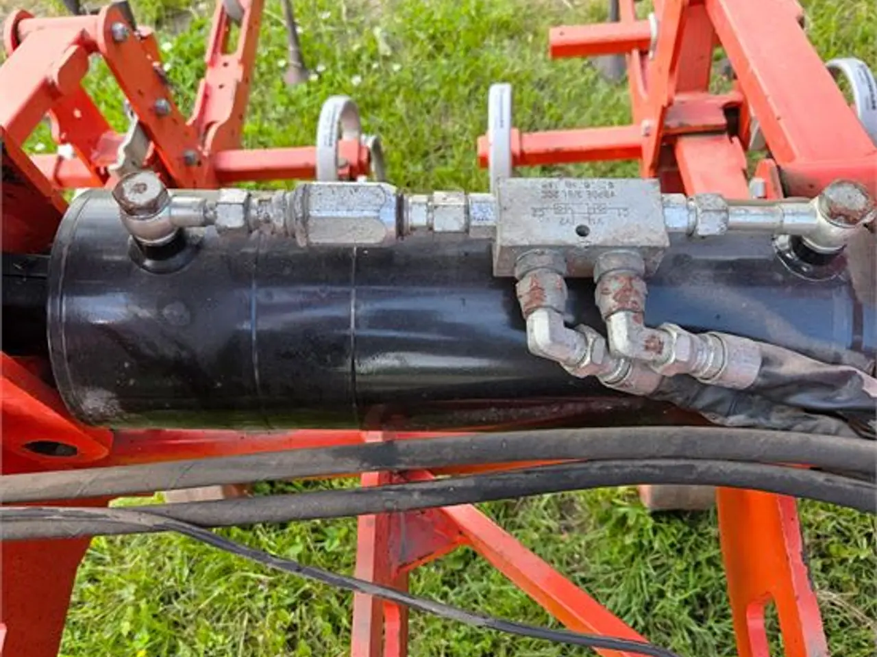 Billede 11 - Maschio DSD-600 - radrenser / row cultivator 12 m