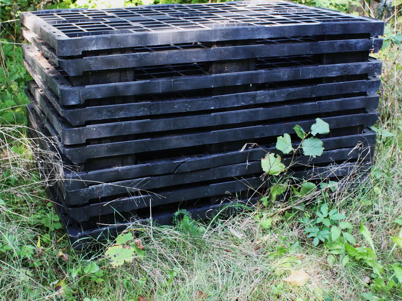 Billede 2 - plast-paller 10 stk.