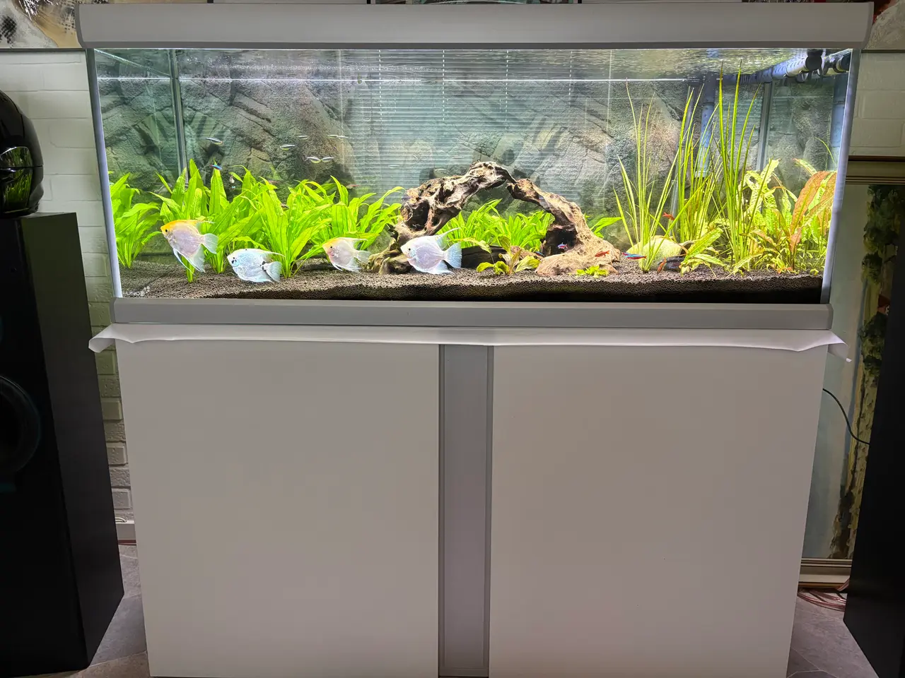 Billede 1 - 325 l Fusion akvarie med underskab sælges