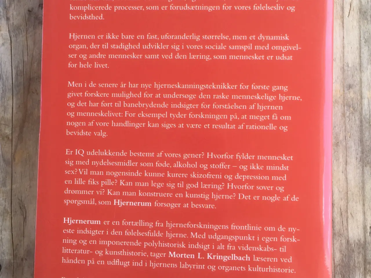 Billede 2 - Hjernerum - den følelsesfulde hjerne