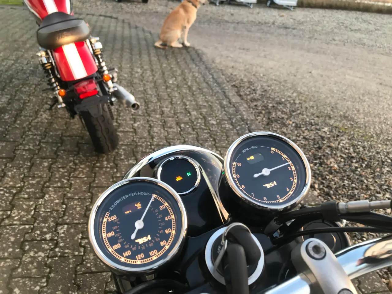 Billede 6 - BSA Gold star 650 Legacy Edition Tilbud 99998 !