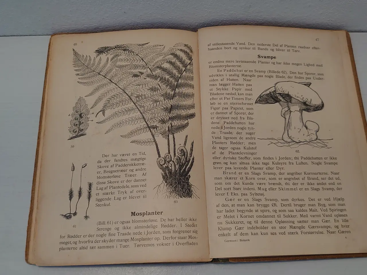 Billede 3 - C.C.Gormsen:Botanik.76 billeder. 1907.
