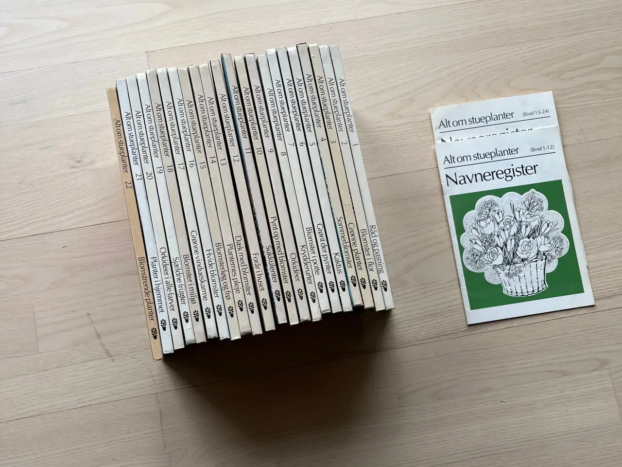 Billede 2 - Alt om stueplanter