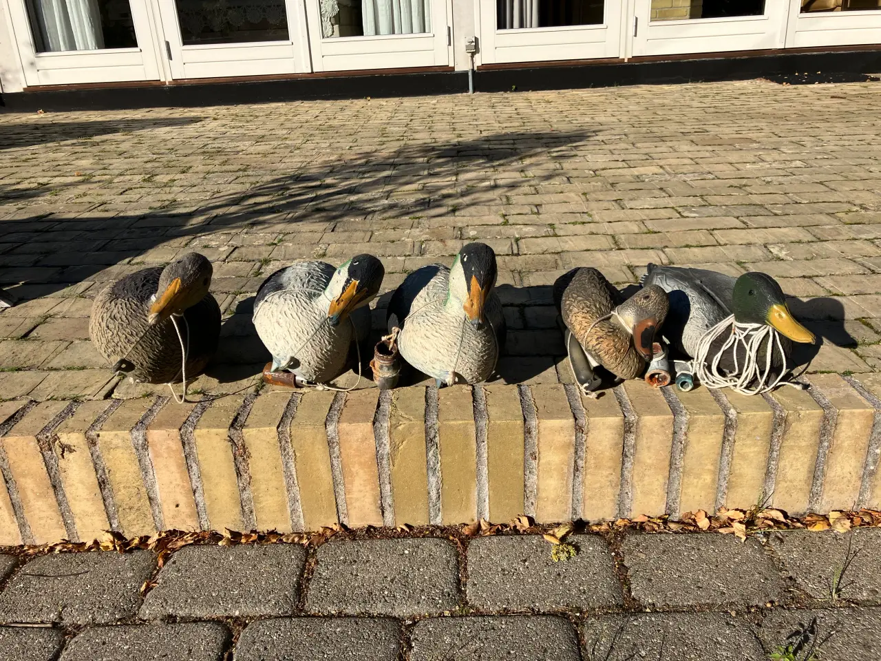 Billede 1 - Lokkeænder