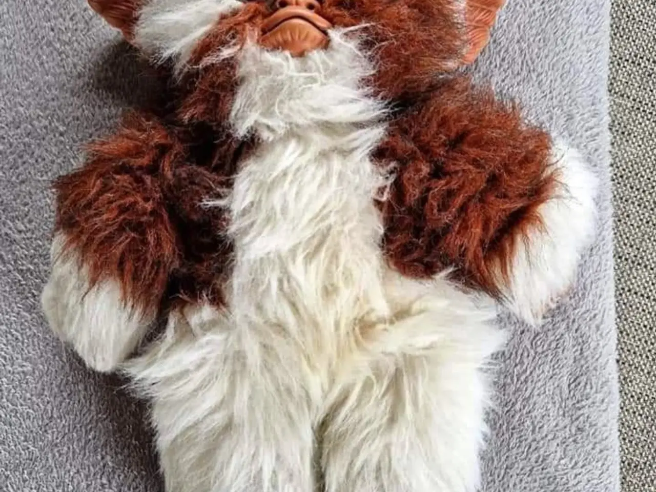 Billede 2 - Gizmo
