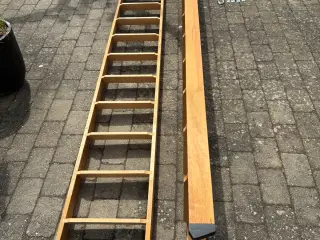 Hemsestiger i bøg 