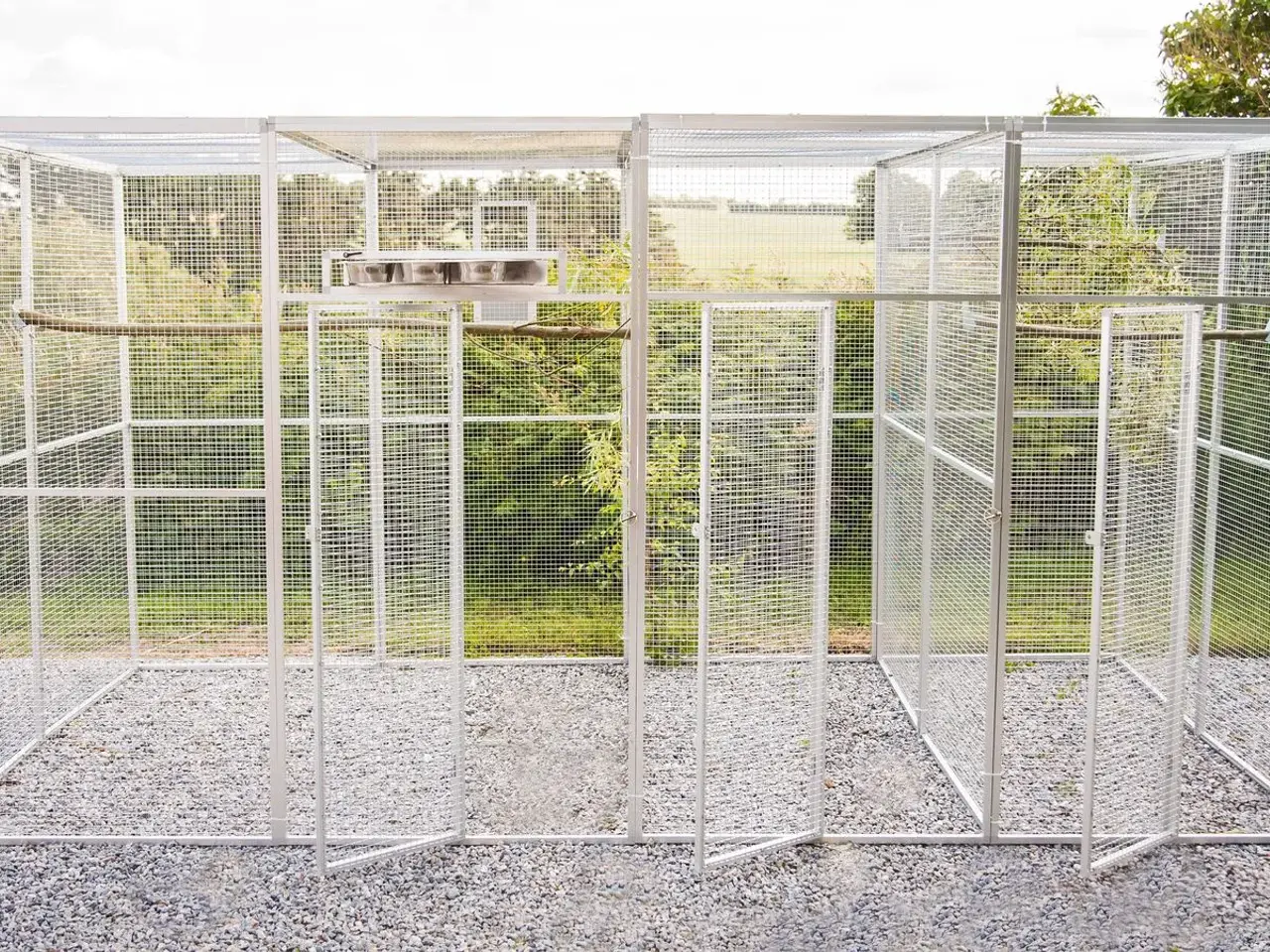 Billede 2 - Udendørs Voliere 4x2x2 mtr.
