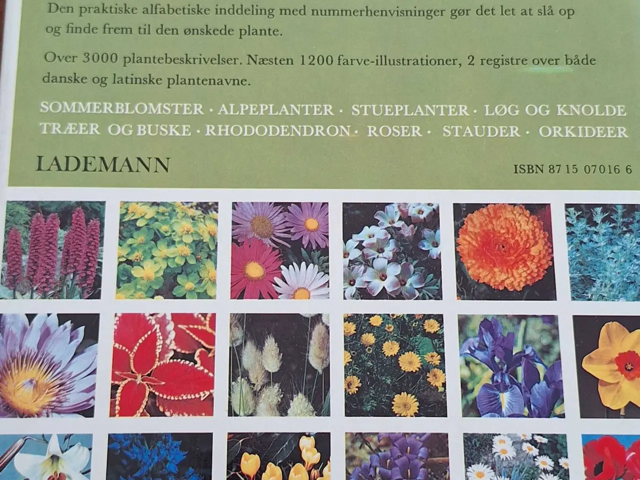 Billede 3 - Lademanns Blomsteratlas