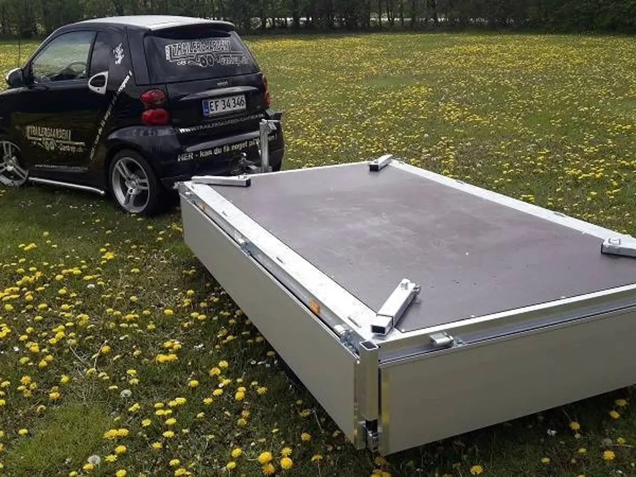 Billede 1 - EDUARD trailer 3116-750.63