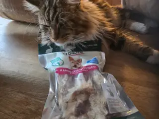 LÆKKERIER TIL KATTEN - 3