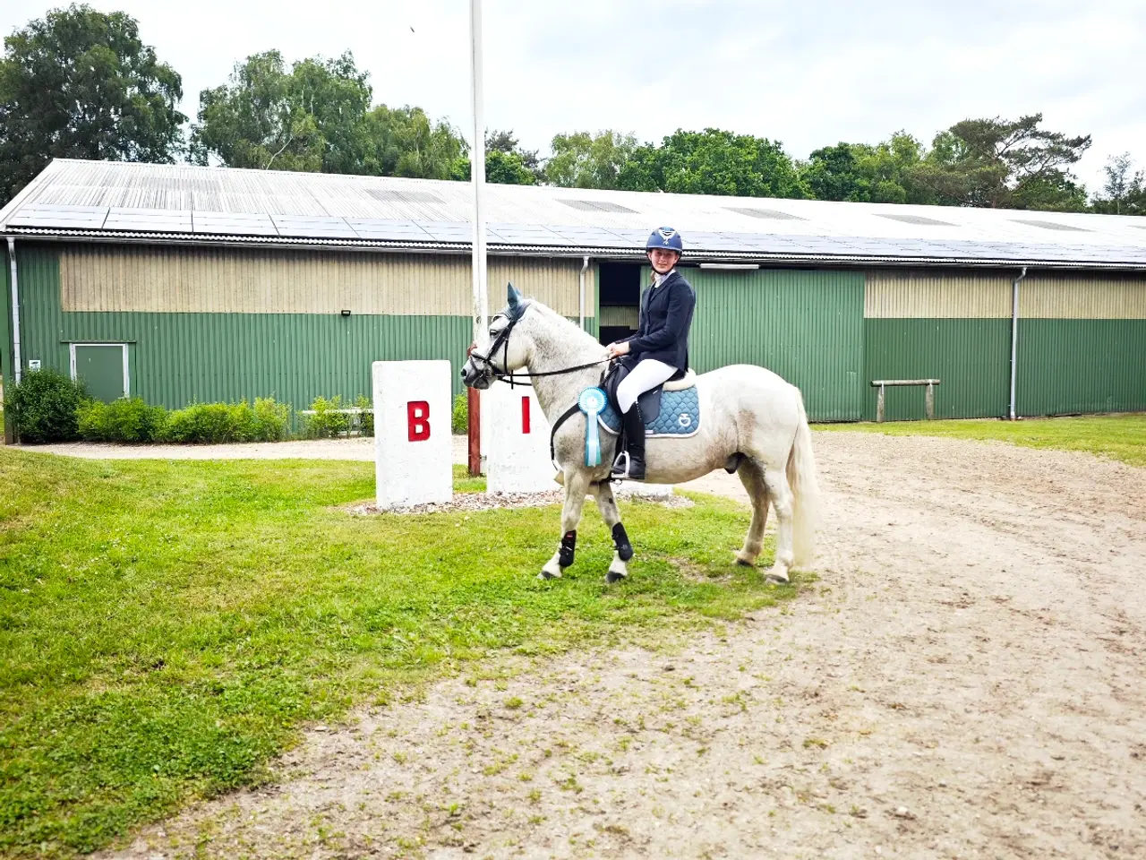 Billede 5 - Allround pony, en ny bedste ven