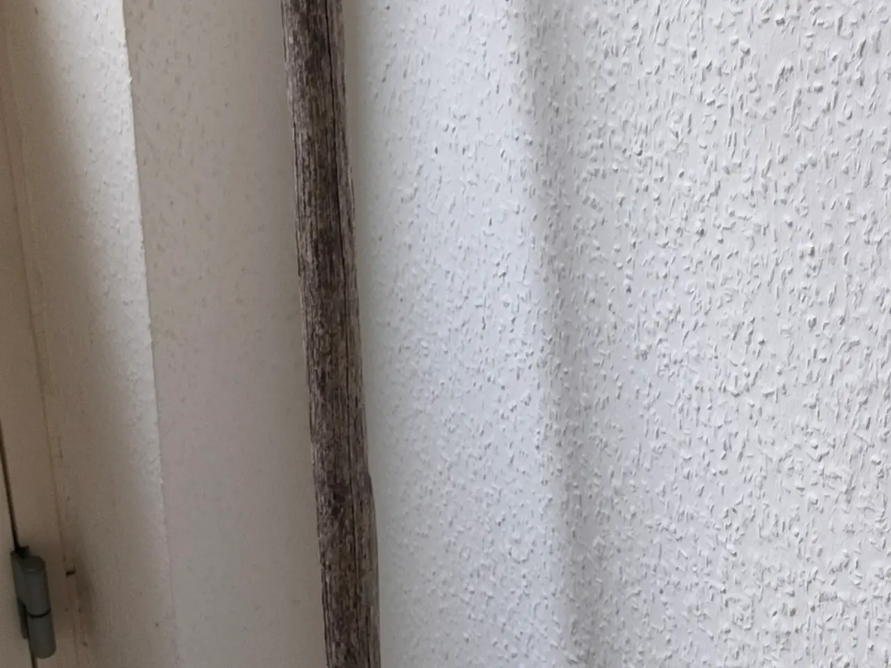 Billede 2 - Kultivator, 50 cm