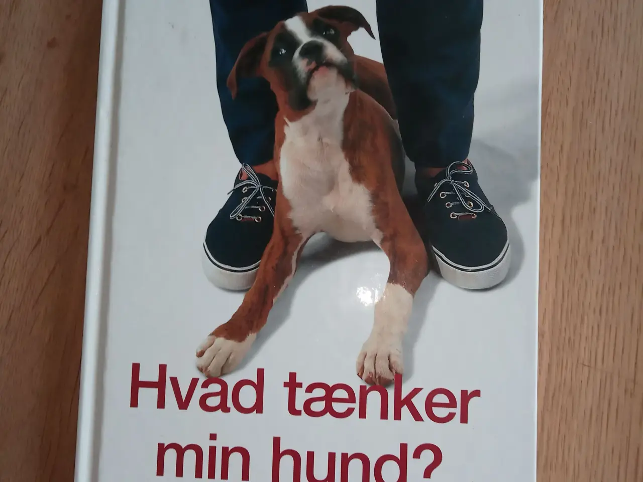 Billede 1 - Hvad tænker min hund?