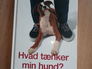 Hvad tænker min hund?