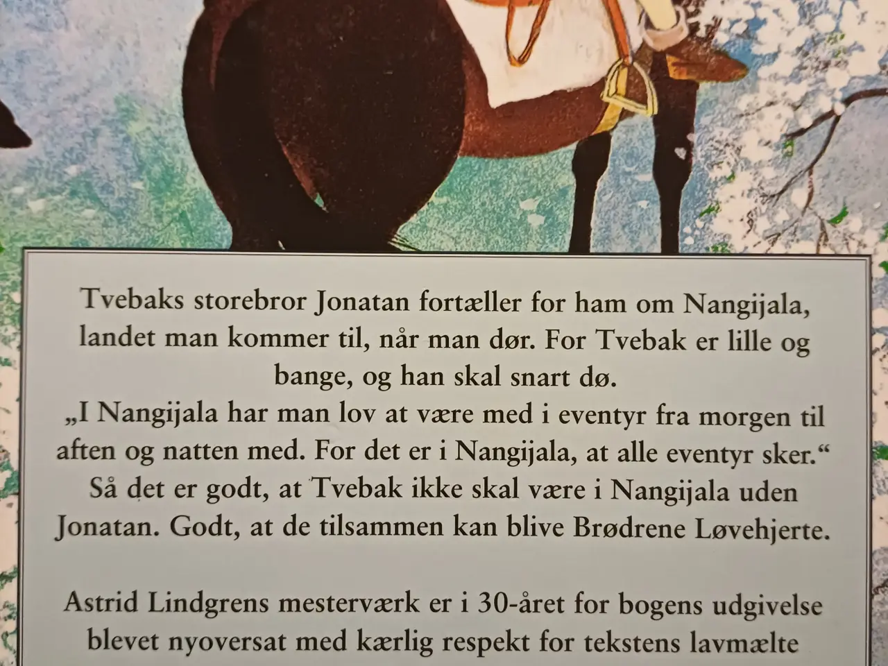 Billede 3 - Astrid Lindgren Brødrene Løvehjerte bog