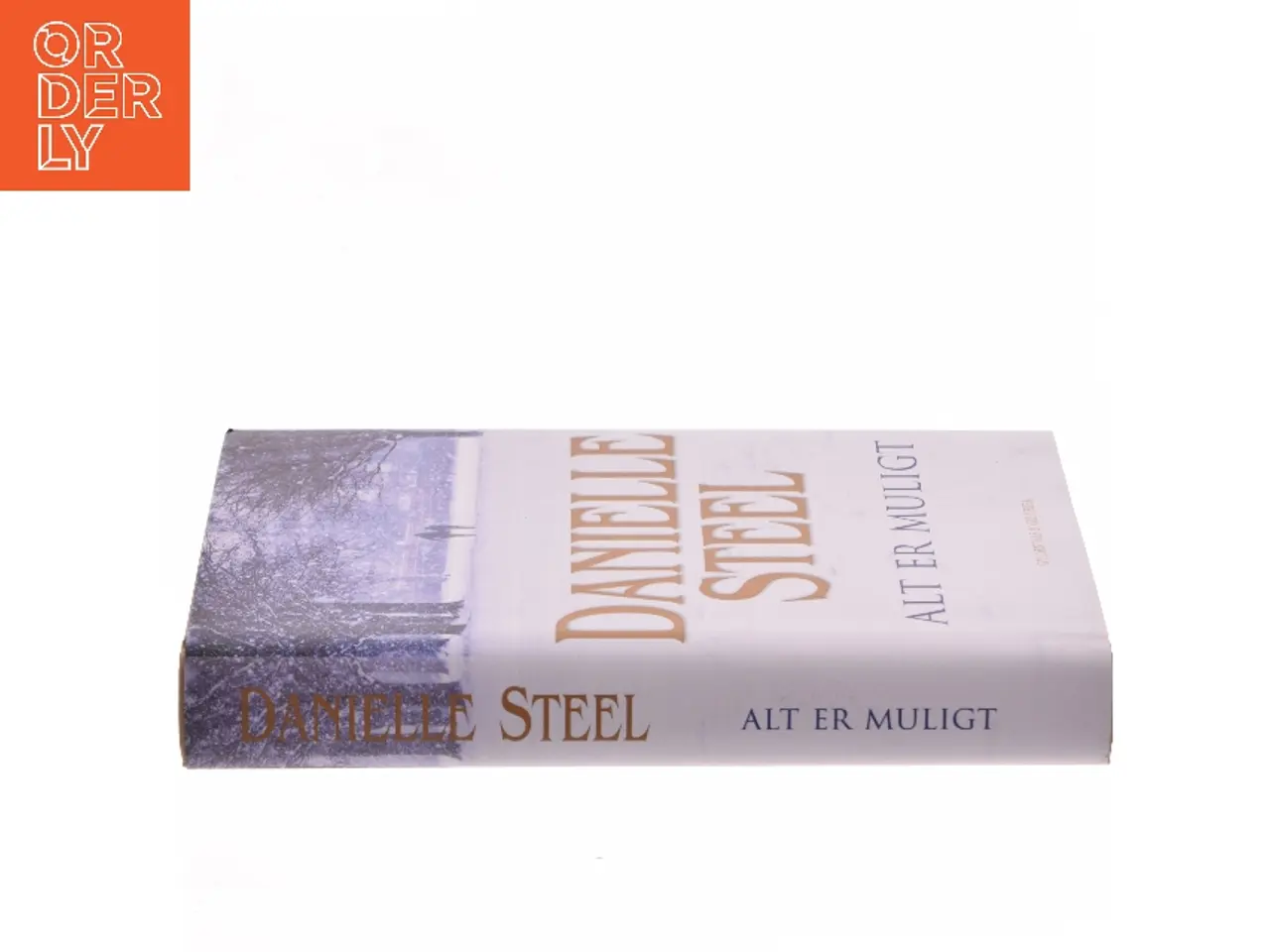 Billede 2 - Alt er muligt af Danielle Steel (Bog)