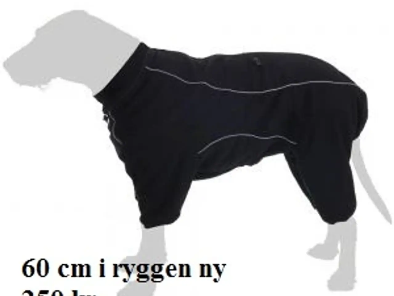 Billede 14 - udstyr til hund og katte 
