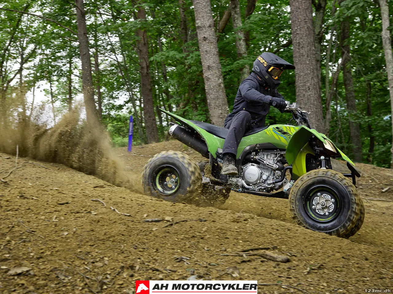Billede 6 - Yamaha YFZ 450 R SE