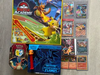 Min Charizard samling