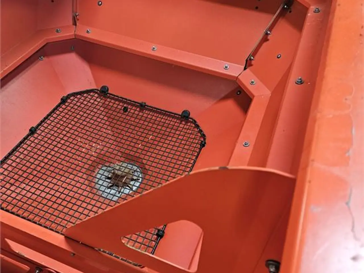 Billede 24 - Rauch Axis 50.1W - Fuldautomatisk gødningsspreder / Fully automatic fertilizer spreader