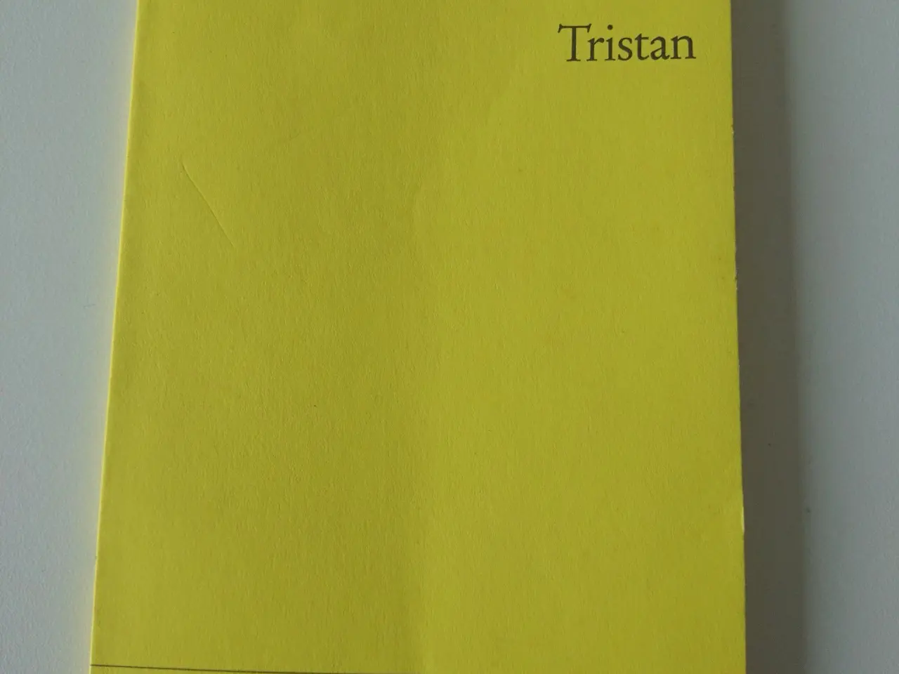 Billede 1 - Tristan. Thomas mann