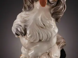 Pekingeser 1169 - Dahl Jensen.