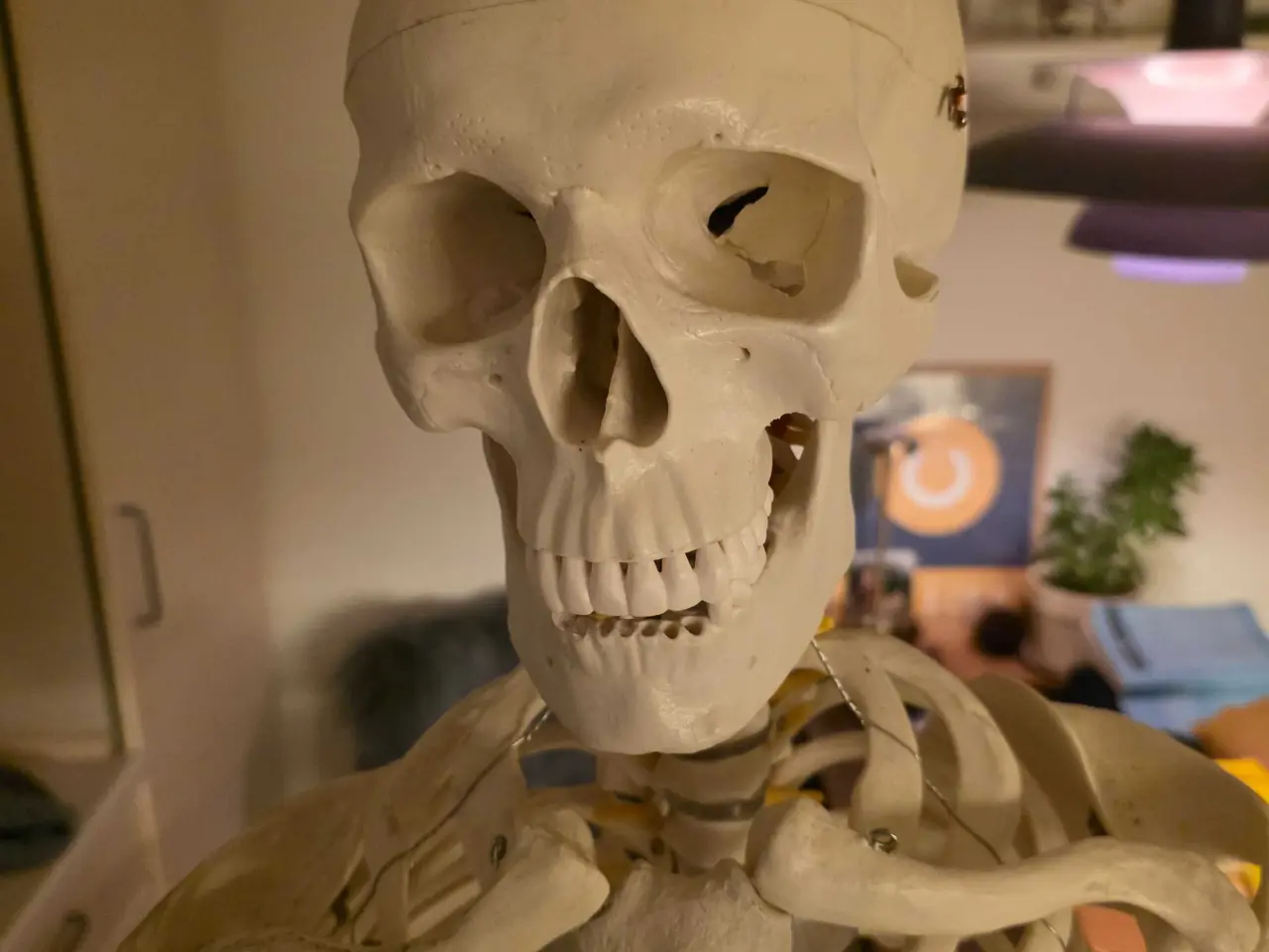 Billede 1 - Udstilling/undervisnings skellet 