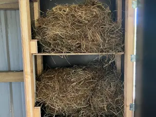 Foder Automat til heste