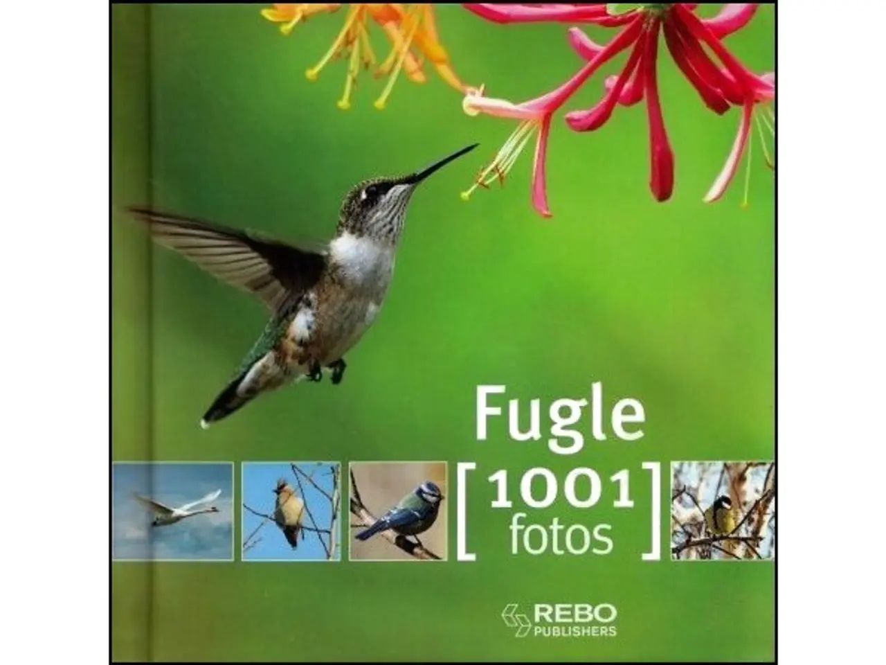 Billede 13 - Fugle - 16 Bøger fra 40 kr.