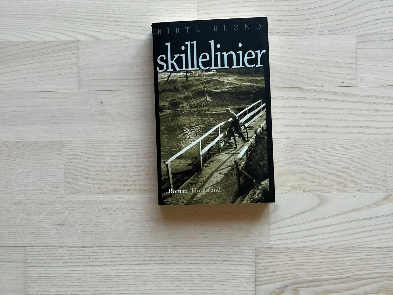Billede 1 - Skillelinier