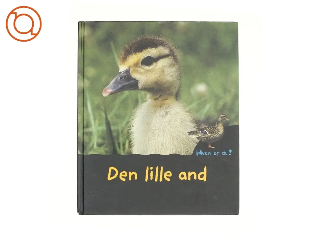 Billede 1 - Den lille and
