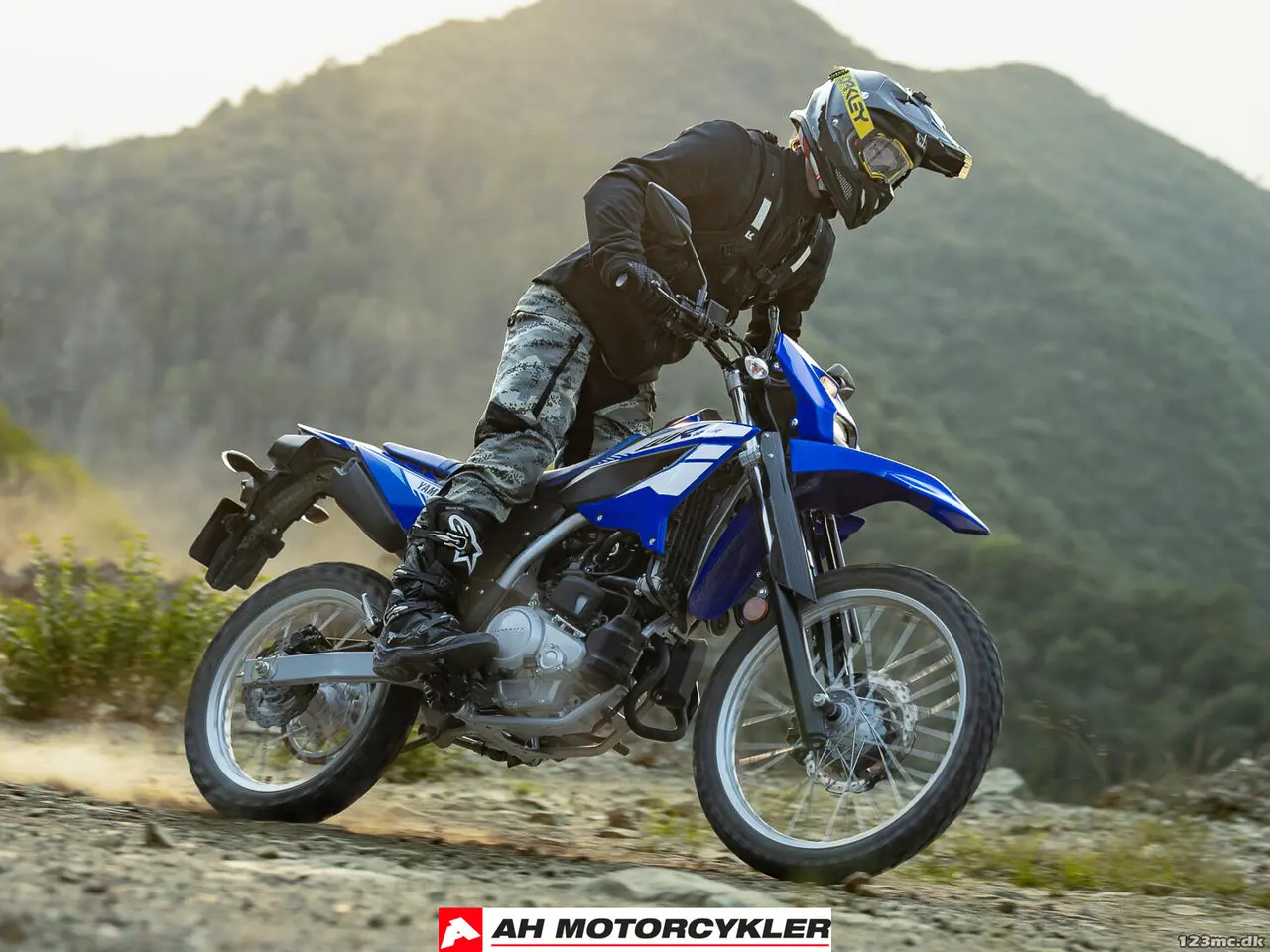 Billede 13 - Yamaha WR 125 Icon Blue