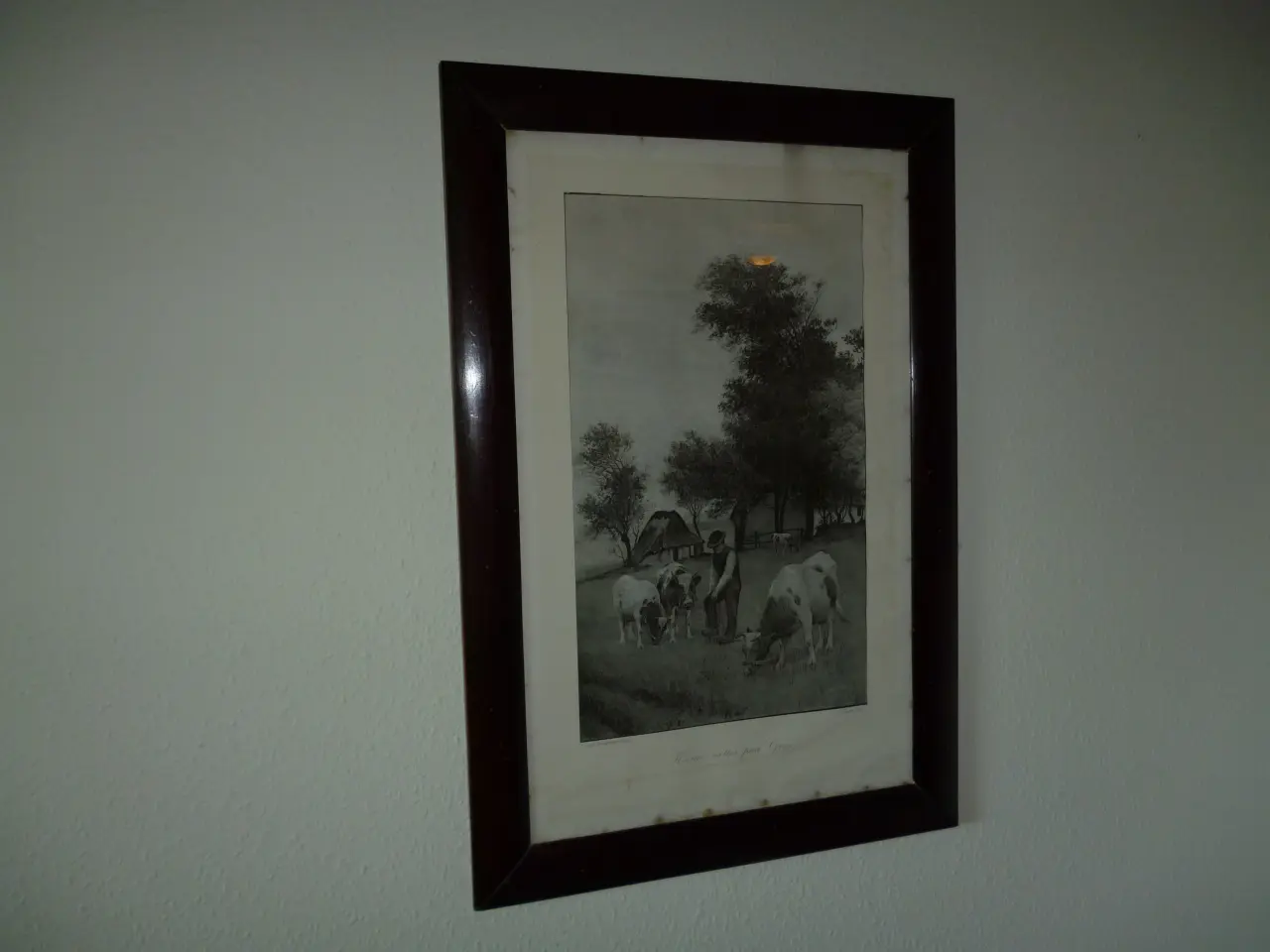 Billede 1 - Retro Græsende køer i ramme.