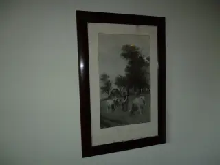 Retro Græsende køer i ramme.