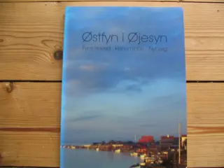 Østfyn i øjesyn ? Fyns Hovedstad