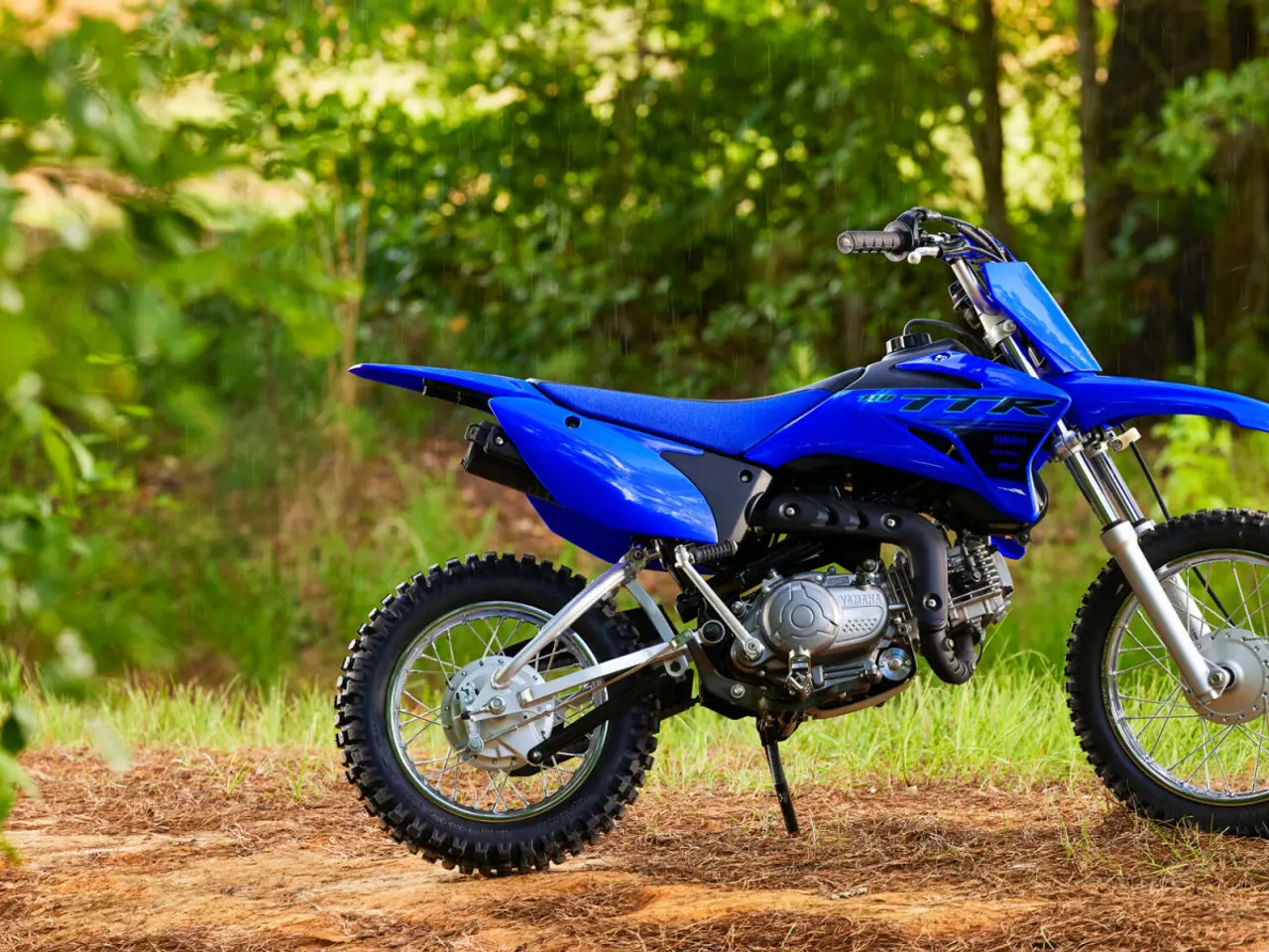 Billede 1 - Yamaha TTR 110