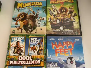 Dvd film