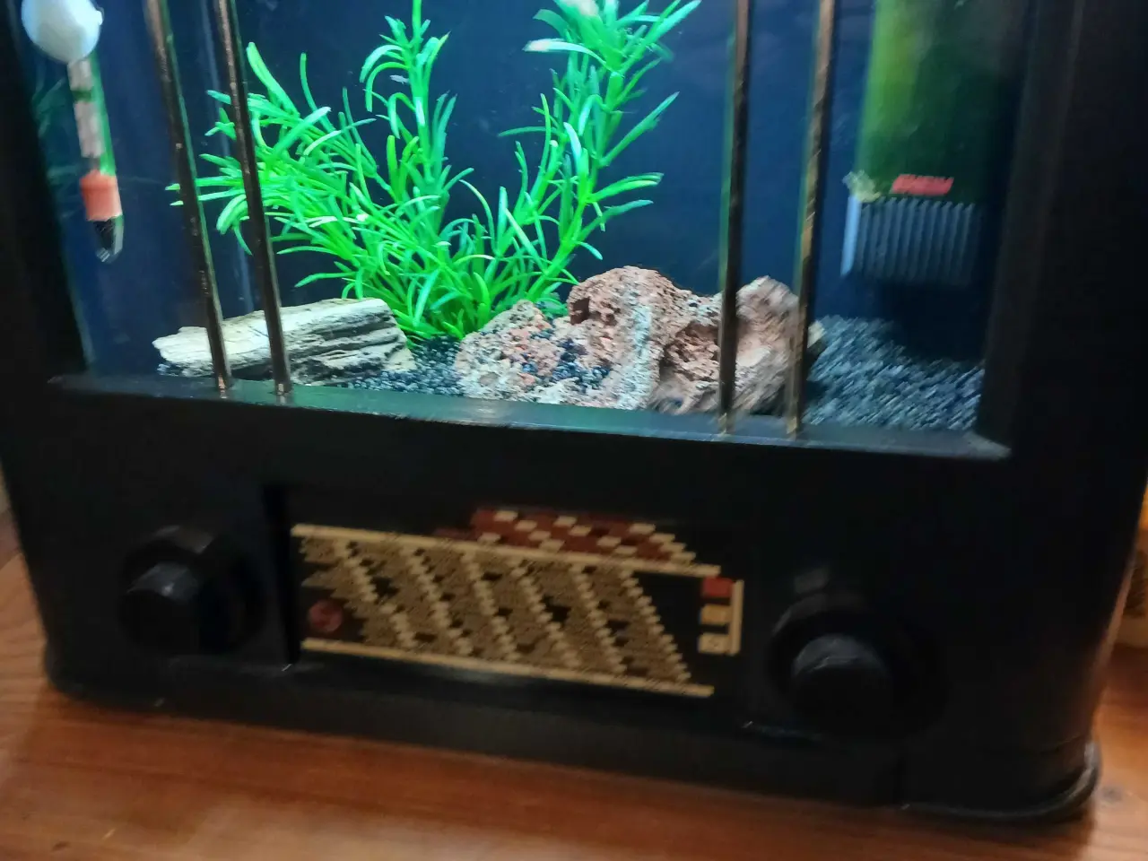 Billede 1 - Akvarium