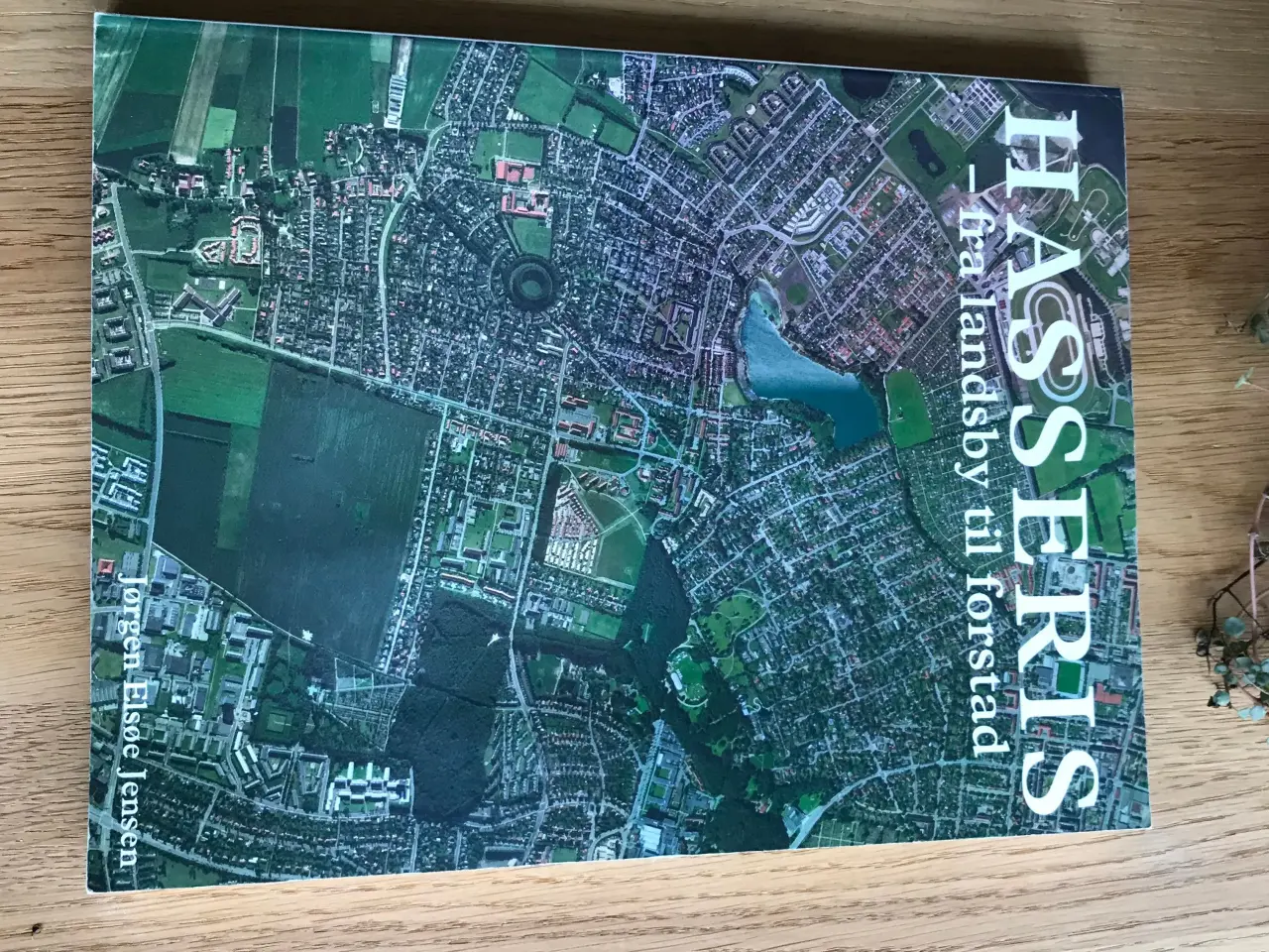 Billede 1 - Hasseris - fra landsby til forstad
