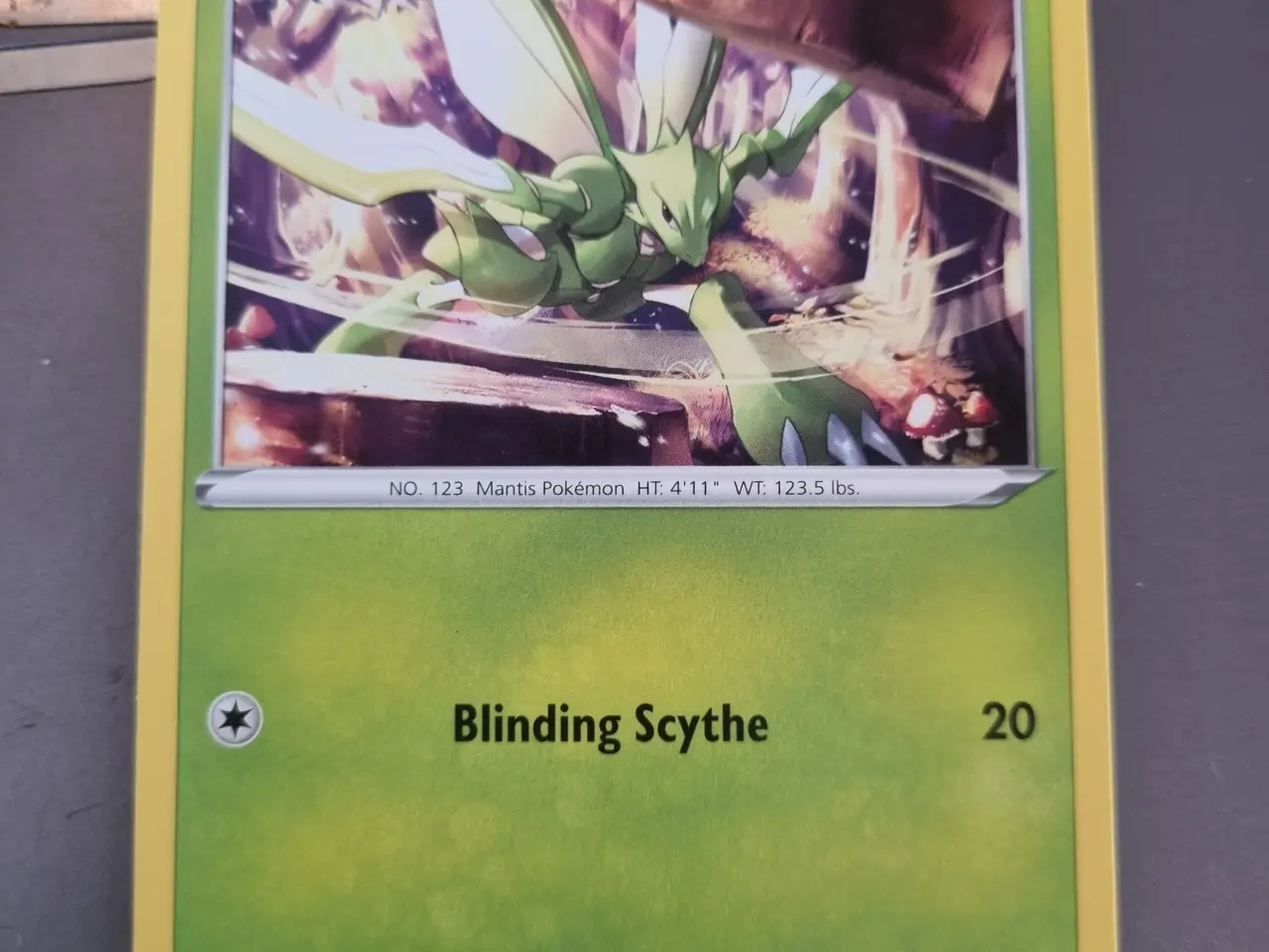 Billede 12 - Annonce 203 - Pokemon